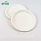 Heavy Duty Thanksgiving Paper Plates